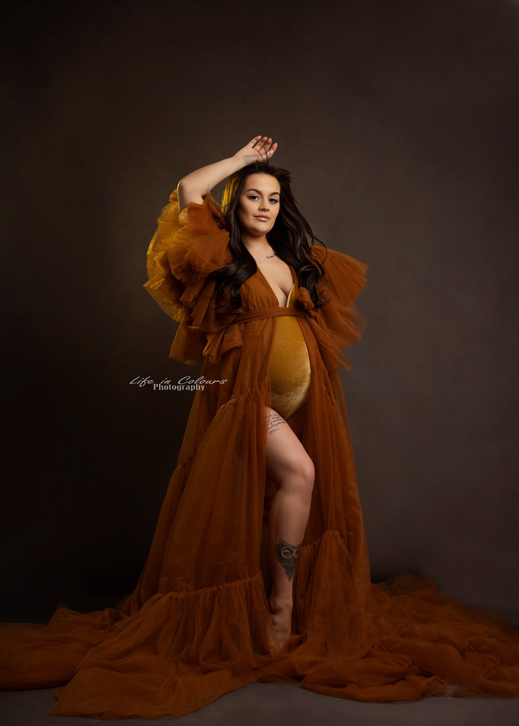 Hire / Rent Tulle Photoshoot Event Baby Shower Maternity Dress " Autum PropsandDrops Hire / Rent Tulle Photoshoot Event Baby Shower Maternity Dress " Autum PropsandDrops