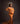 Tigth elegant lycra Maternity Photoshoot Dress " Felicity"
