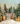 Christmas Backdrop " Outdoors Lighten trees "