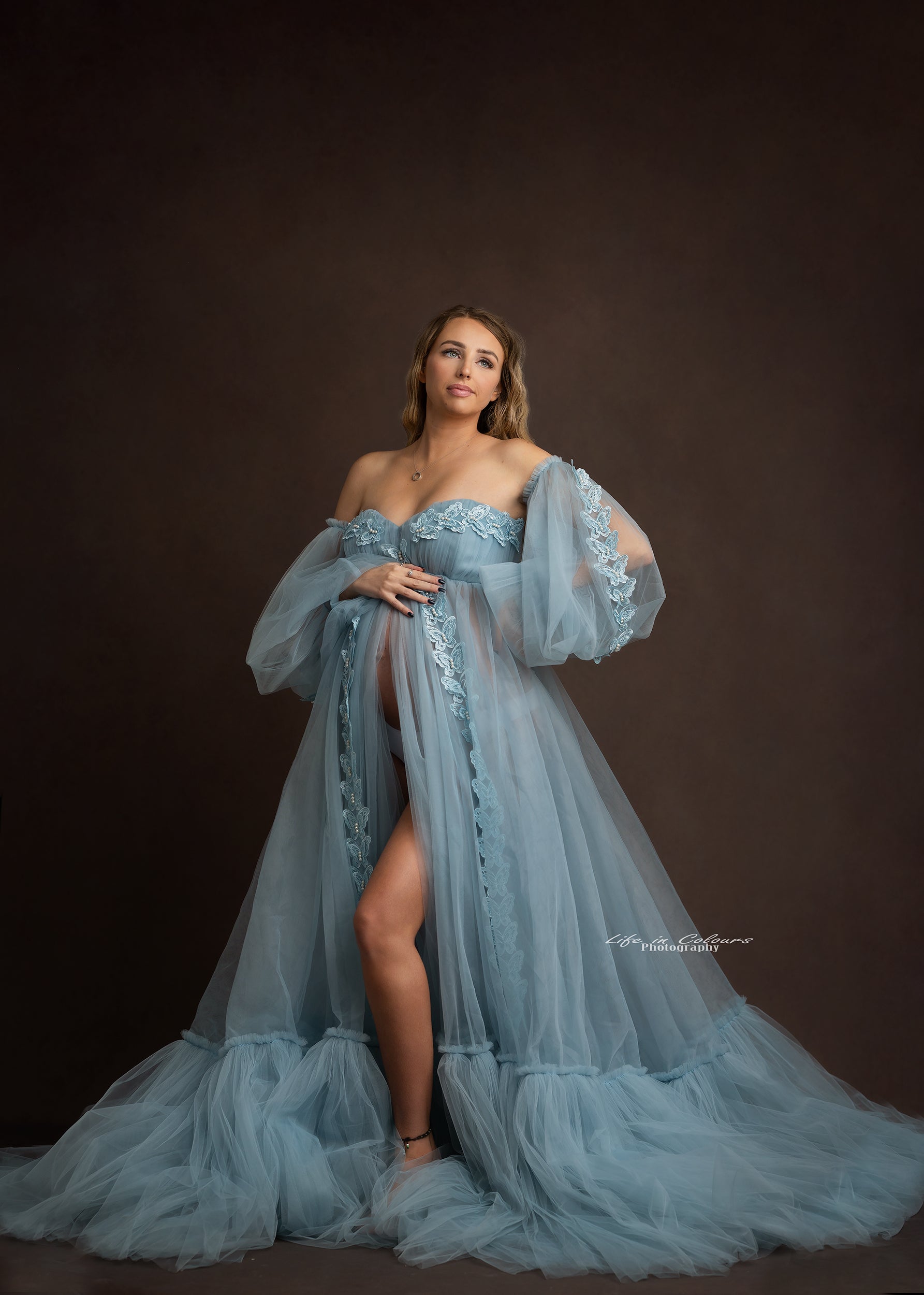 Bundle SET FOR HIRE MATERNITY PHOTO SHOOT Event Baby Shower DRESS blue Tulle with butterflies