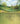 Photography Backdrops " Spring Walk"