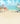 Photography Background " Flamingos In the Sun"