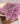 Copy of 100% Greek Wool Flokati for Photography Sessions LAVENDER